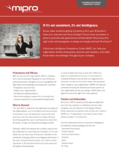 2011-Business-Intelligence-Competency-Center-DataSheet-web