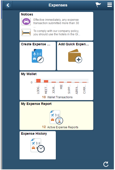Expenses Fluid Pages