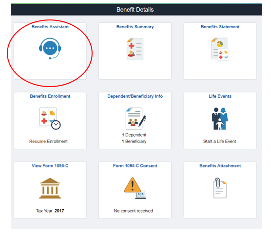 Benefits Assistant Chatbot - Benefit Details